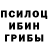 Псилоцибиновые грибы Cubensis Munter Man