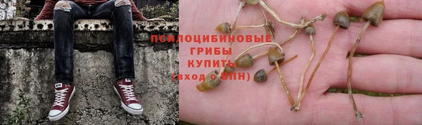 молекула духа Бородино