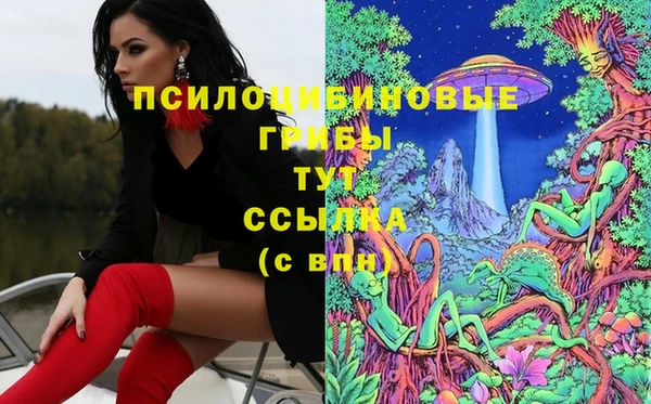 дживик Беломорск